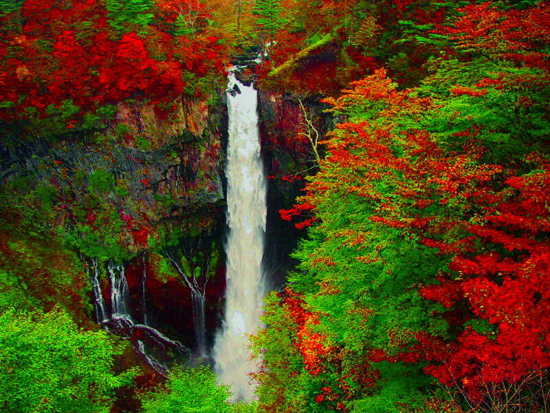 Waterfall in Autumn Forest — Red, Serene, Photograph, Trees, Cliff