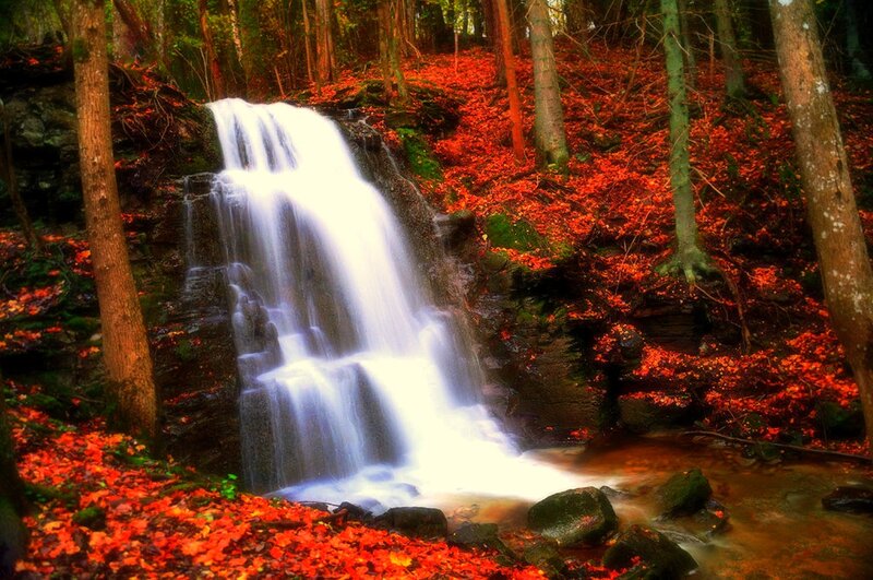 Waterfall in Autumn Forest — Red, Serene, Photograph, Trees, Leaves, Rocks