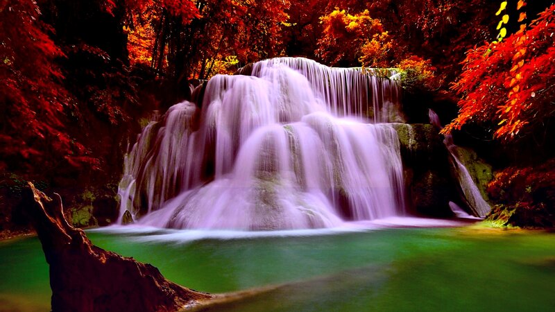 Waterfall in Autumn Forest — Red, Serene, Photograph, Trees, Pool
