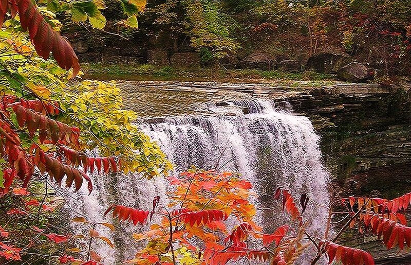 Waterfall in Autumn Forest — Red, Serene, Photograph, Trees, River, Rocks, Yellow