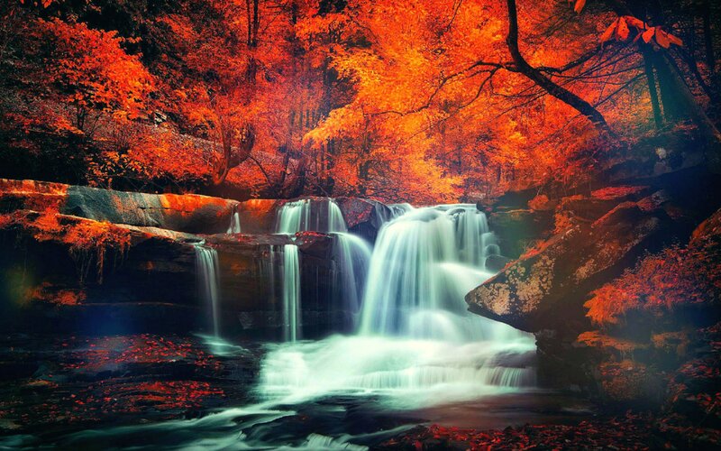 Waterfall in Autumn Forest — Red, Serene, Photograph, Trees, Rocks, Fallen Leaves