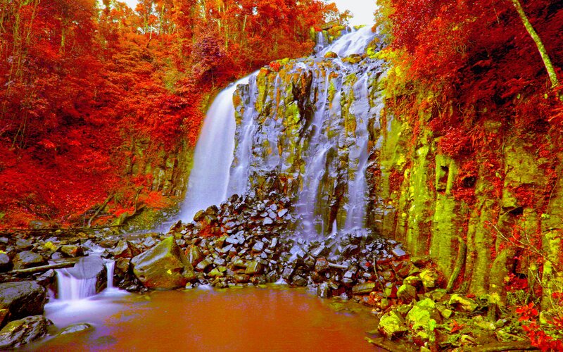 Waterfall in Autumn Forest — Red, Serene, Photograph, Trees, Rocks, Stream