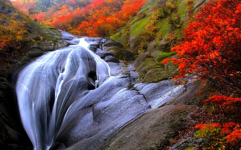 Waterfall in Autumn Forest — Red, Serene, Photograph, Trees, Rocks