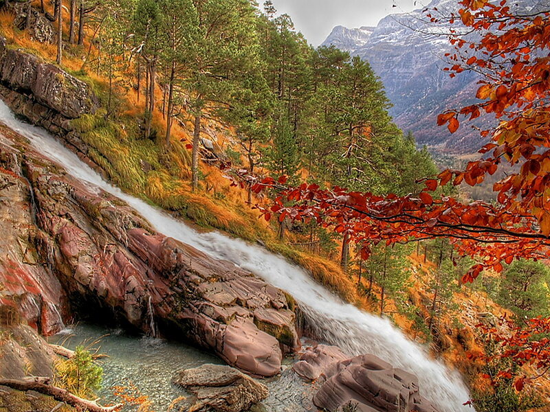 Waterfall in Autumn Forest — Red, Serene, Photograph, Trees