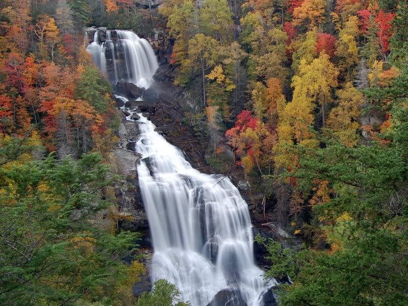 Waterfall in Autumn Forest — Red, Serene
