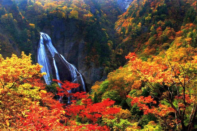 Waterfall in Autumn Forest — Red