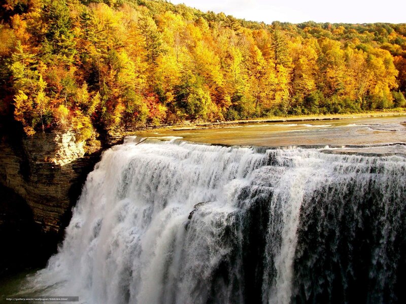 Waterfall in Autumn Forest — Yellow, Serene, Photograph, River, Cliff, Green
