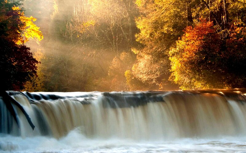 Waterfall in Autumn Forest — Yellow, Serene, Photograph