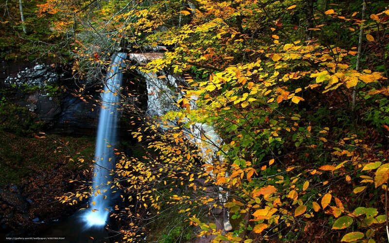 Waterfall in Autumn Forest — Yellow, Serene, Photograph, Trees, Leaves, Rocks