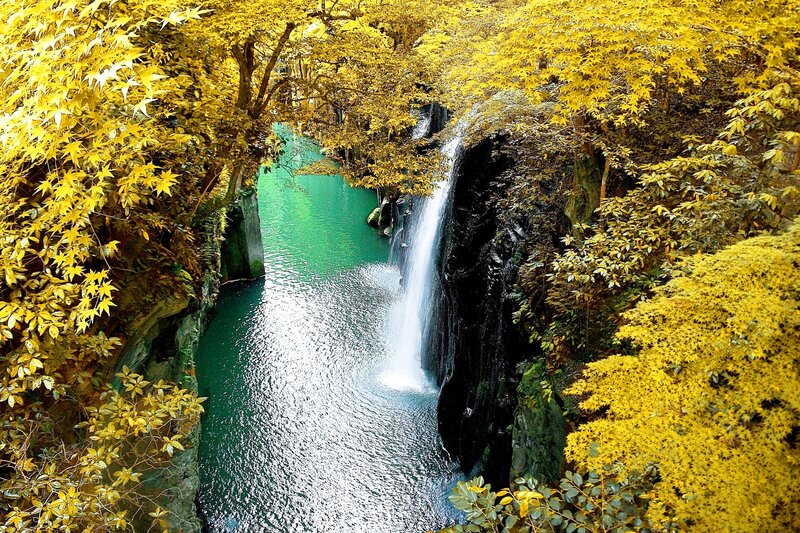 Waterfall in Autumn Forest — Yellow, Serene, Photograph, Trees, Pool