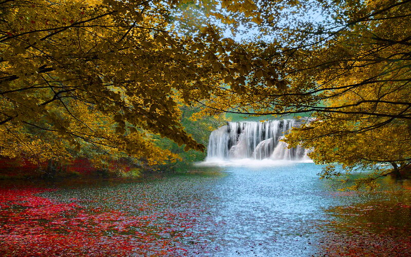 Waterfall in Autumn Forest — Yellow, Serene, Photograph, Trees, River, Leaves