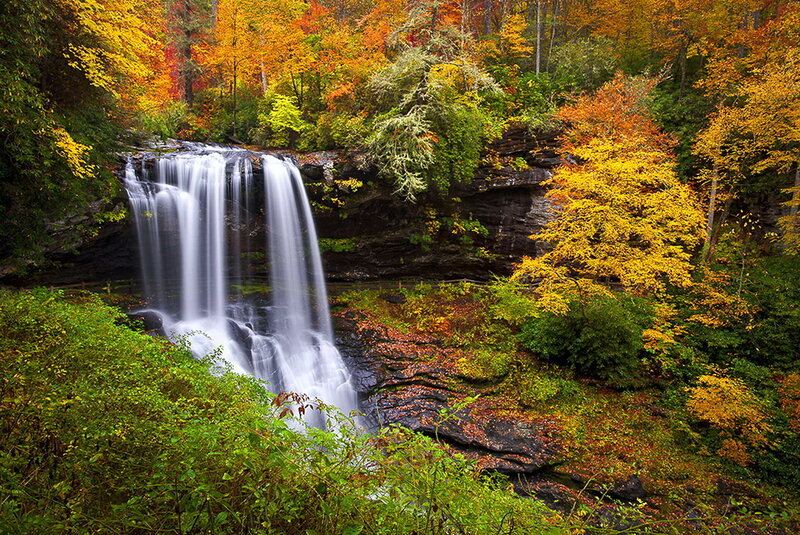 Waterfall in Autumn Forest — Yellow, Serene, Photograph, Trees, Rocks, Fallen Leaves