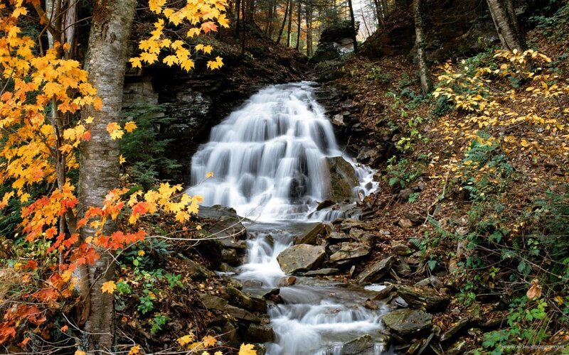 Waterfall in Autumn Forest — Yellow, Serene, Photograph, Trees, Rocks, Leaves