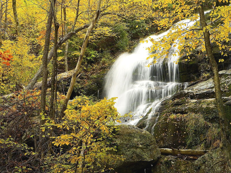Waterfall in Autumn Forest — Yellow, Serene, Photograph, Trees