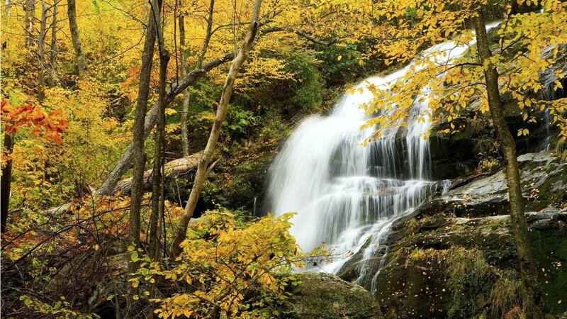 Waterfall in Autumn Forest — Yellow, Serene