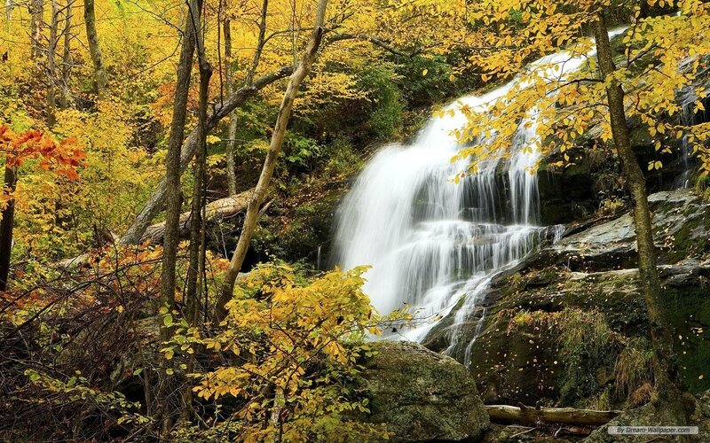 Waterfall in Autumn Forest — Yellow