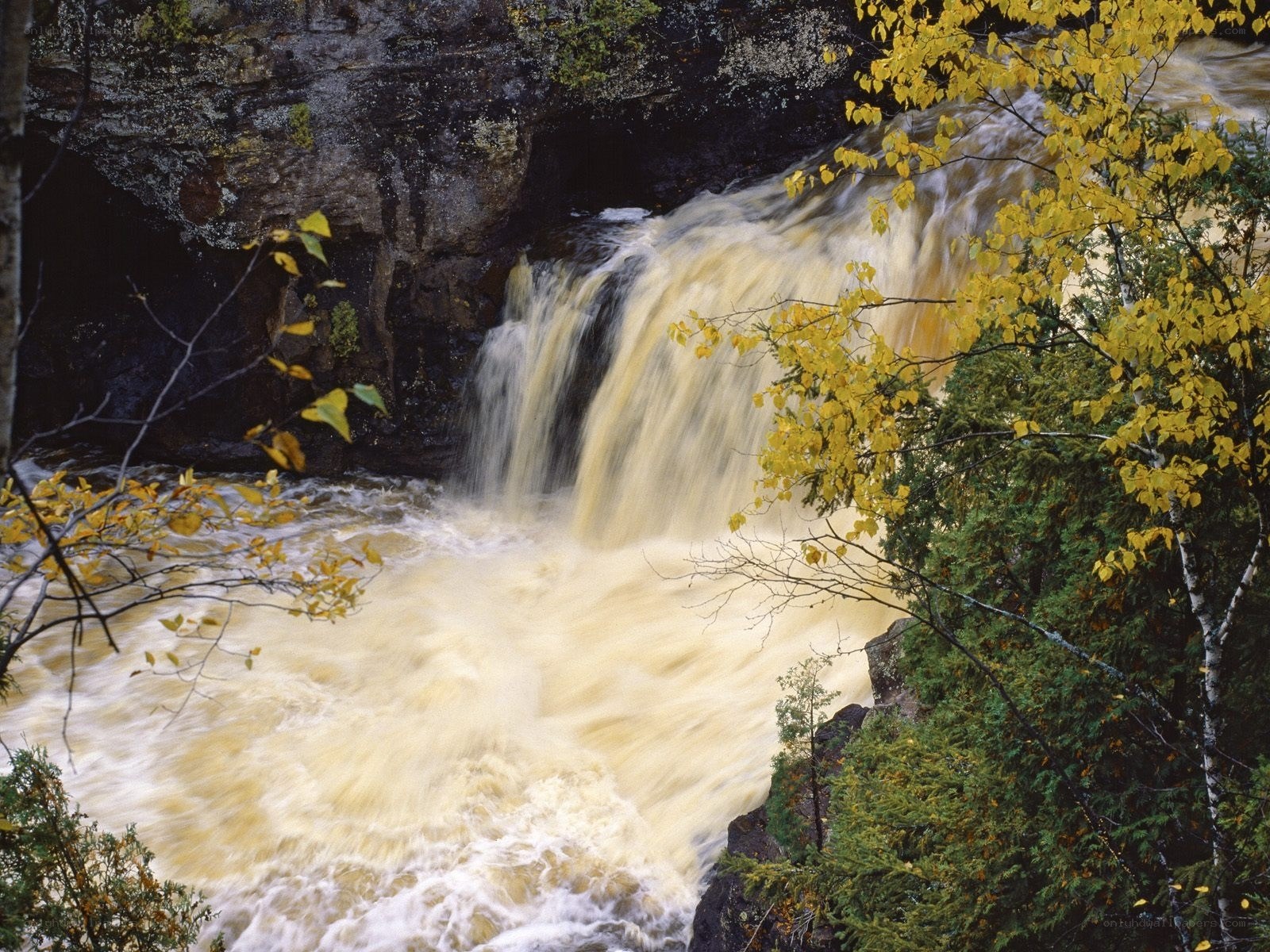 Waterfall in autumn forest