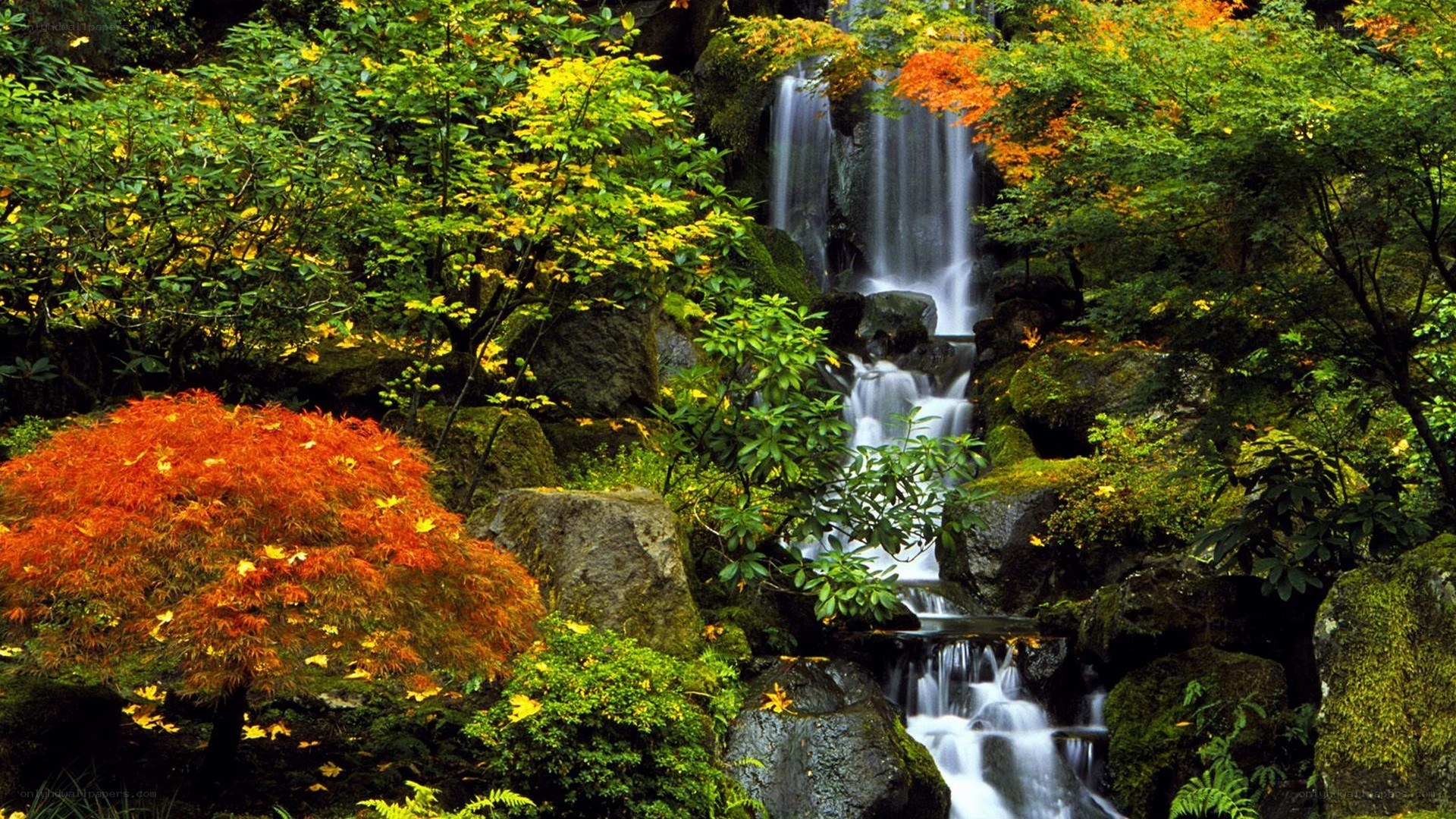 Waterfall in autumn garden
