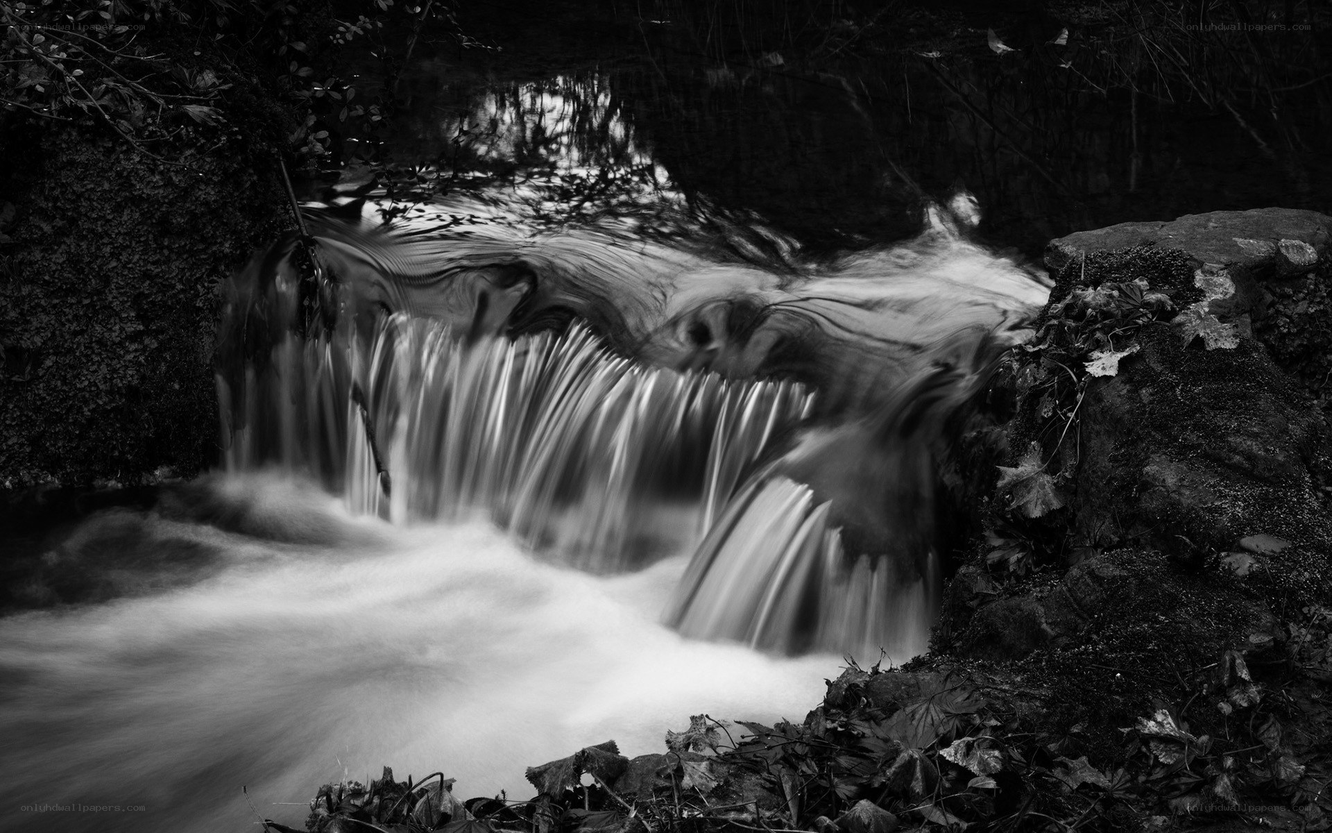 Waterfall in Black and White
