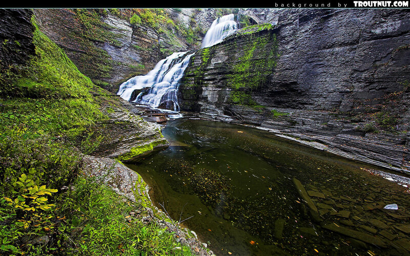 Waterfall in Canyon — Green, Serene, Autumn, Photograph, Pool, Moss