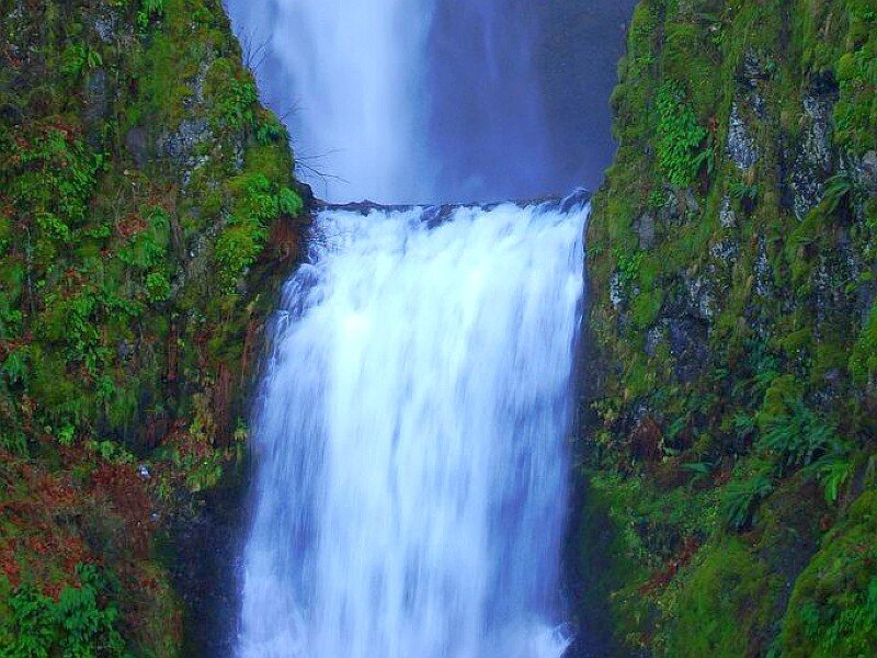 Waterfall in Canyon — Green, Serene, Photograph, Moss, Rock