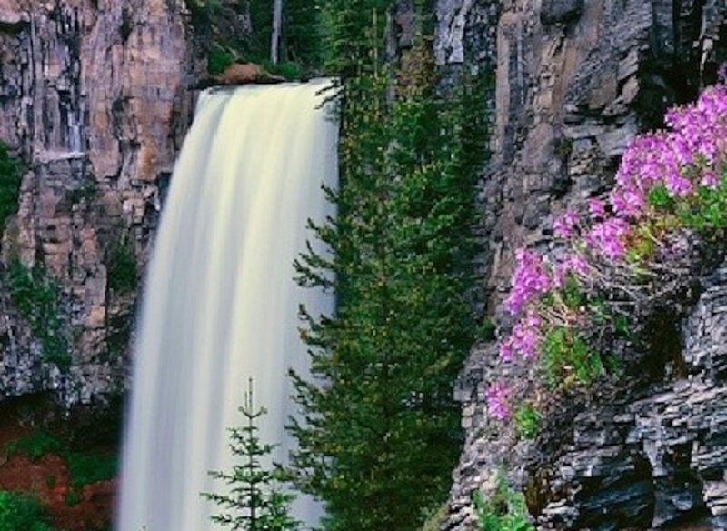 Waterfall in Canyon — Green, Serene, Spring, Photograph