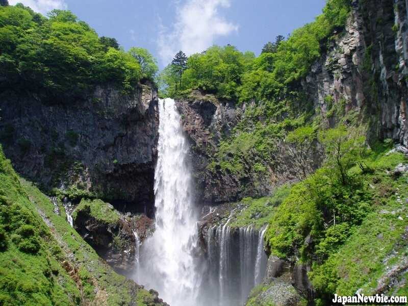Waterfall in Canyon — Green, Serene, Summer, Photograph, Trees, Sky