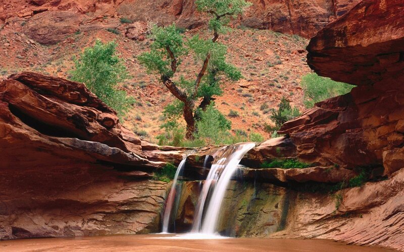 Waterfall in Canyon — Red, Serene, Afternoon, Photograph, Tree, Rock, Green, Brown