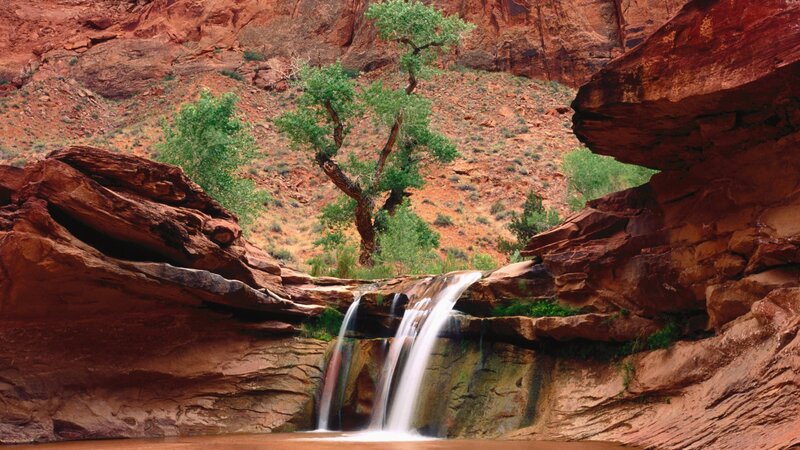 Waterfall in Canyon — Red, Serene, Afternoon, Photograph, Tree, Rock, Stream