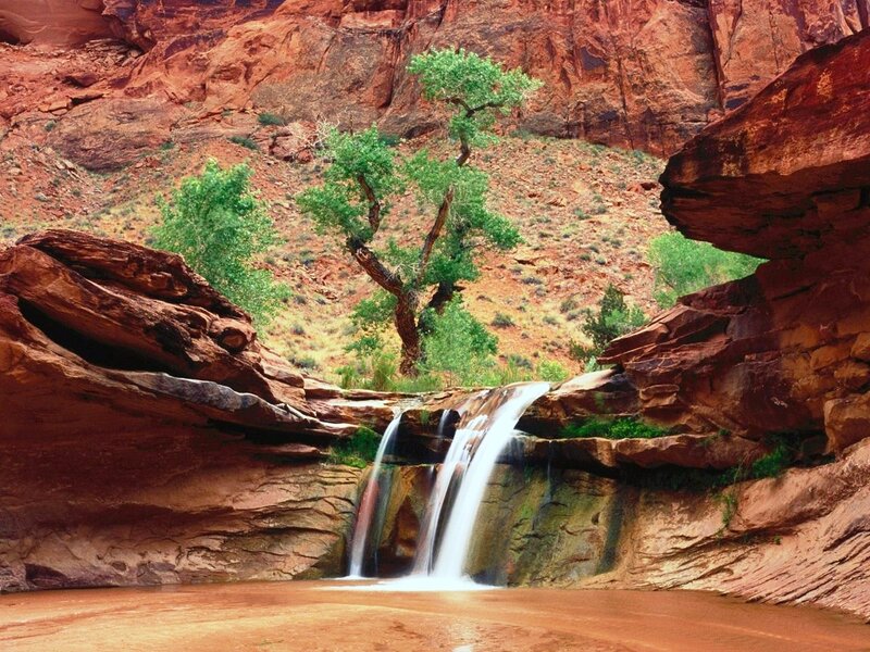 Waterfall in Canyon — Red, Serene, Afternoon, Photograph, Tree, Rocks, Green