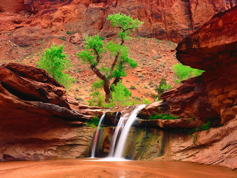 Waterfall in Canyon — Red, Serene, Afternoon, Photograph, Tree