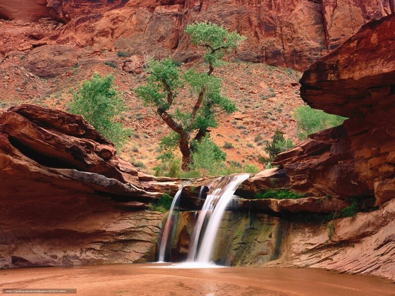 Waterfall in Canyon — Red, Serene, Afternoon, Photograph, Trees, Rocks