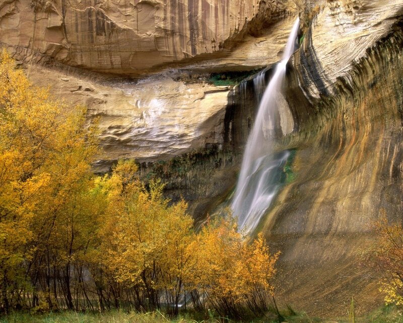 Waterfall in Canyon — Yellow, Serene, Autumn, Photograph, Trees, Falling Water, Brown