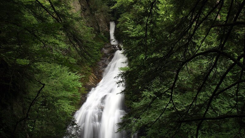 Waterfall in dense forest