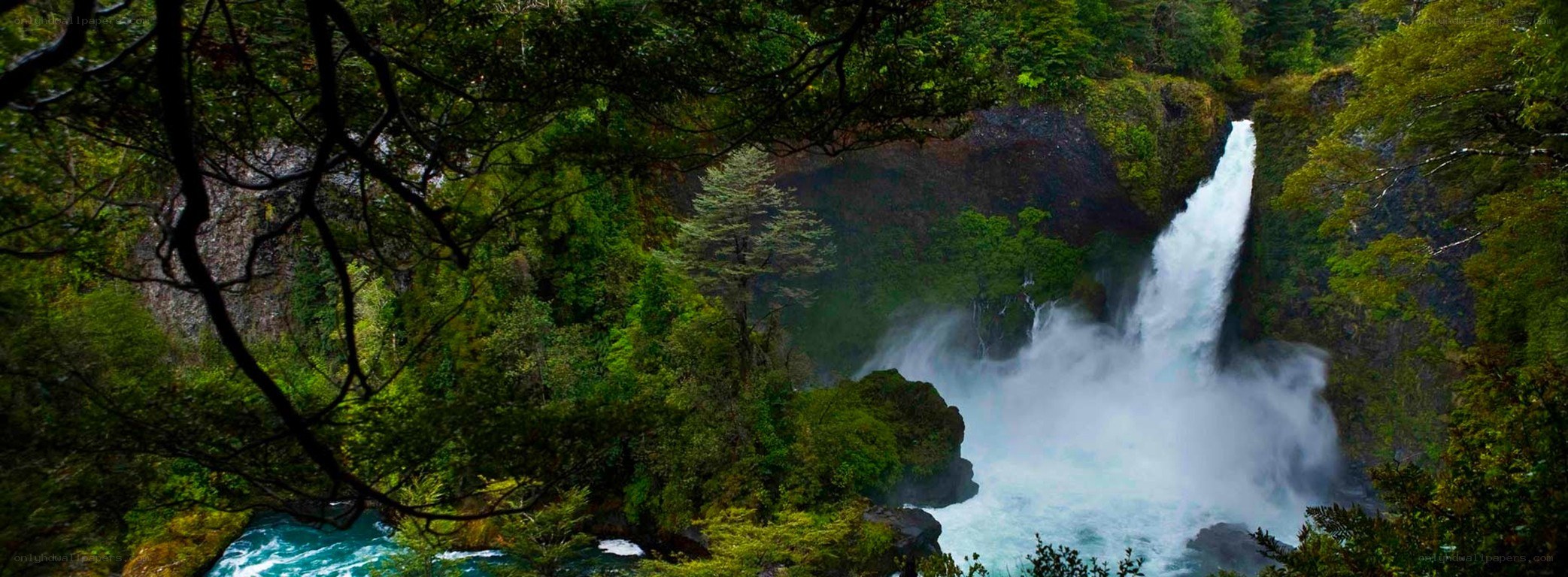 Waterfall in dense forest