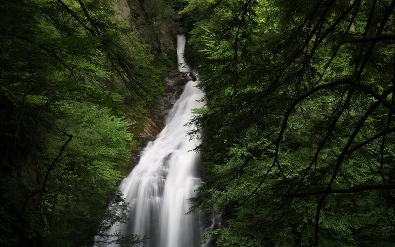 Waterfall in dense forest