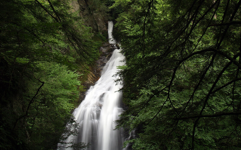 Waterfall in dense forest