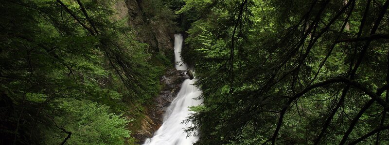 Waterfall in dense forest