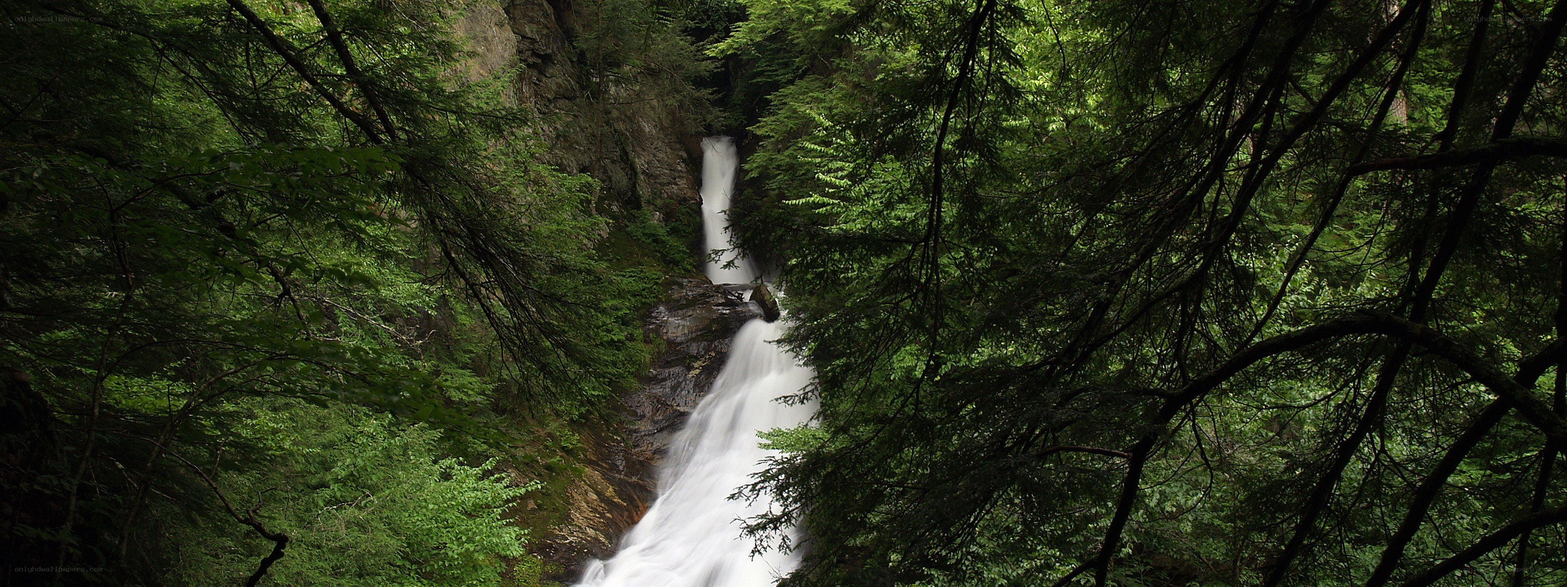 Waterfall in dense forest