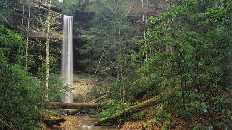 Waterfall in dense forest