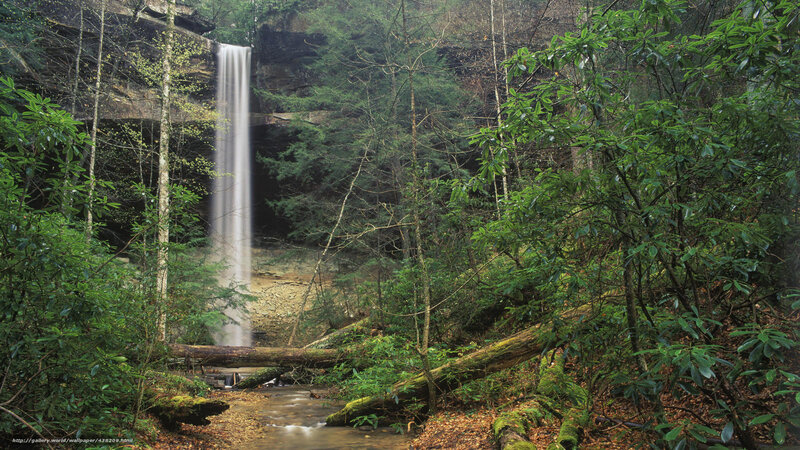 Waterfall in dense forest