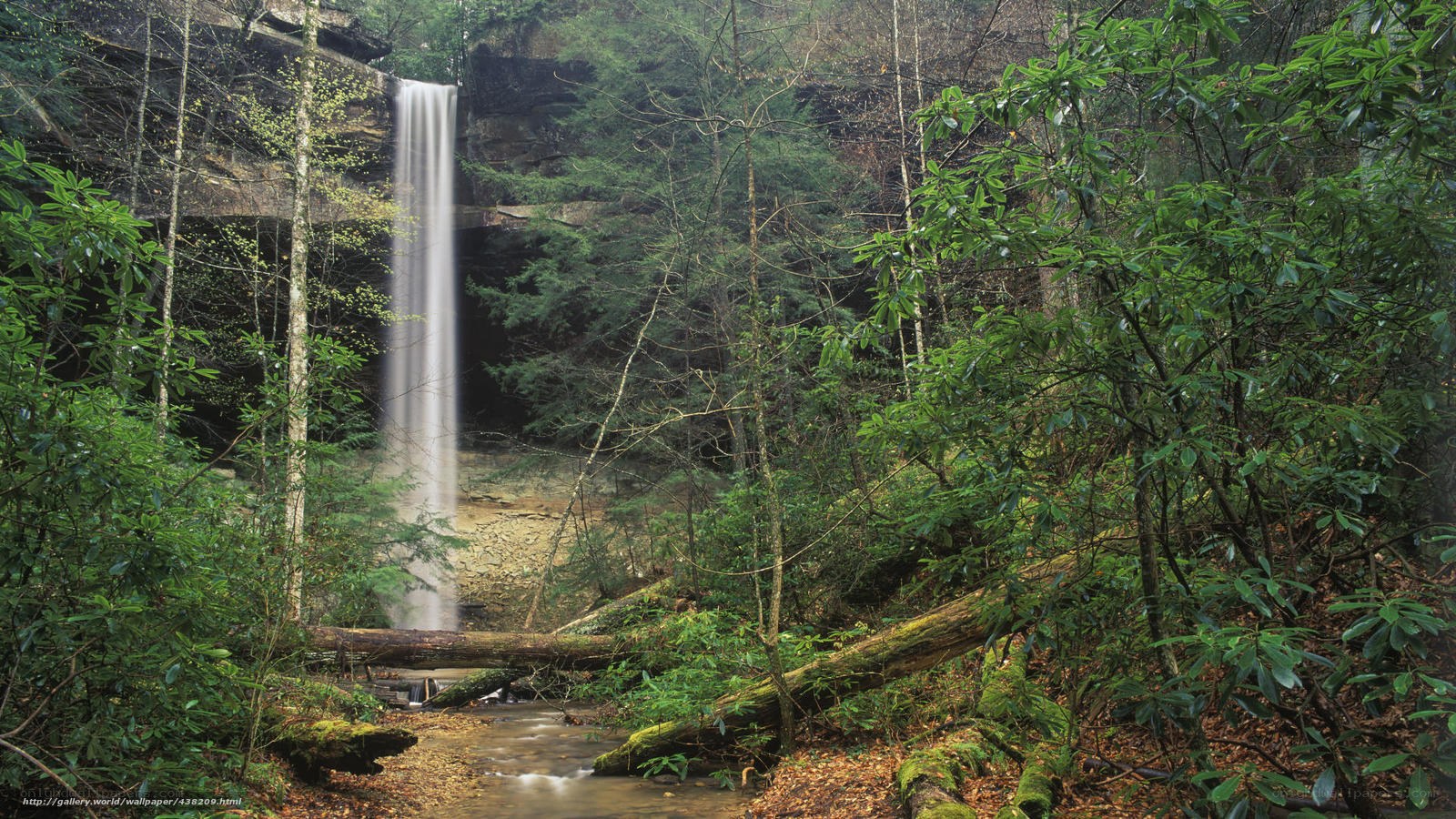 Waterfall in dense forest