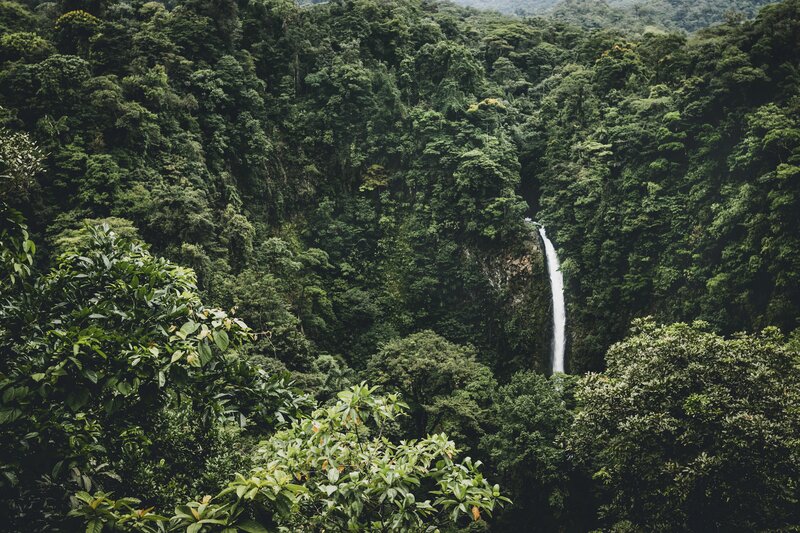 Waterfall in dense rainforest