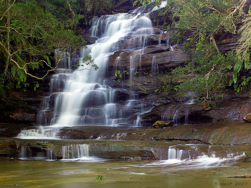Waterfall in forest