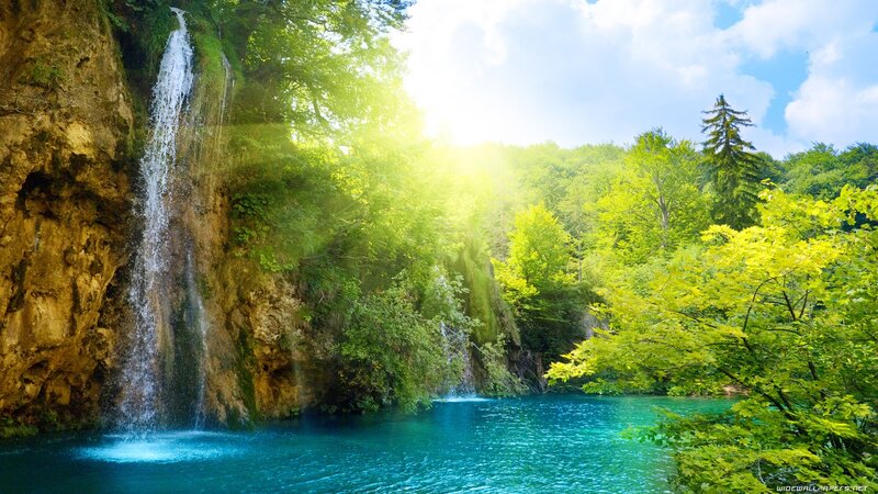 Waterfall in Forest — Afternoon, Sunlight