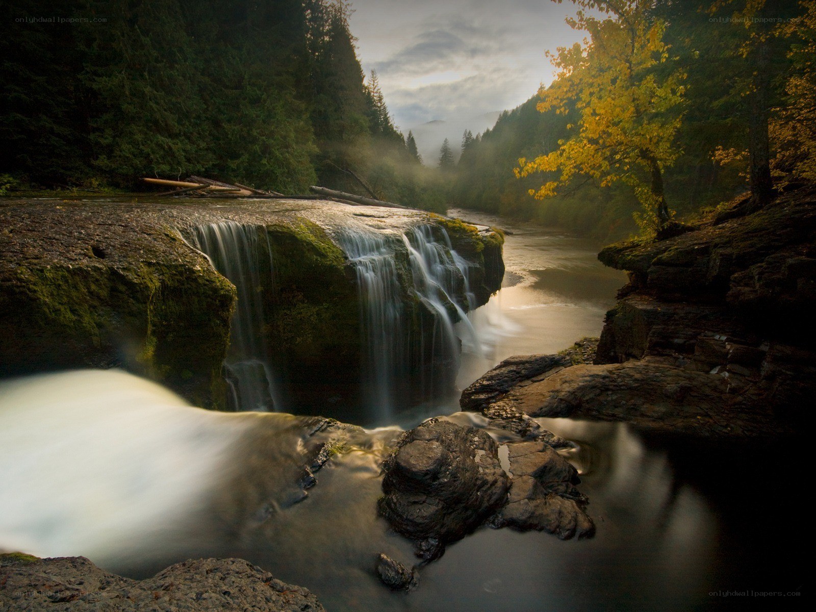 Waterfall in forest at dawn