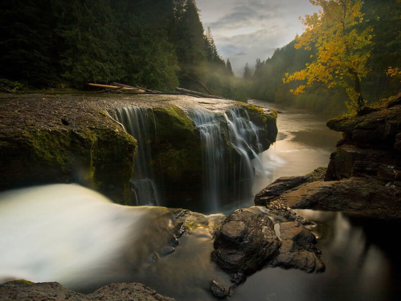 Waterfall in forest at dawn