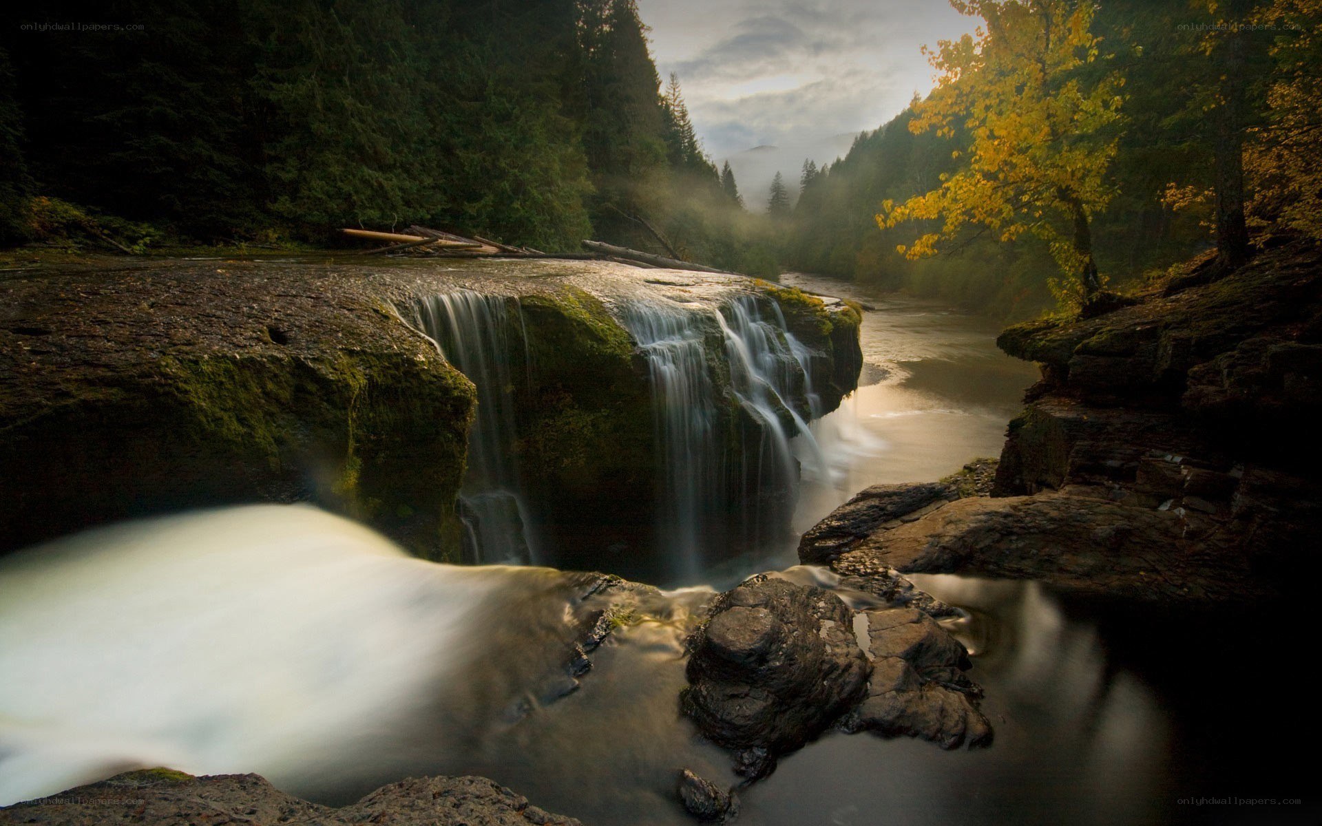 Waterfall in forest at sunrise