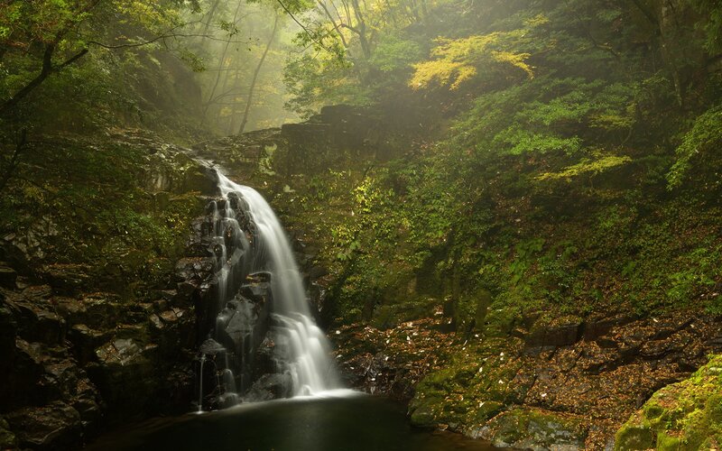 Waterfall in Forest — Autumn, Moss