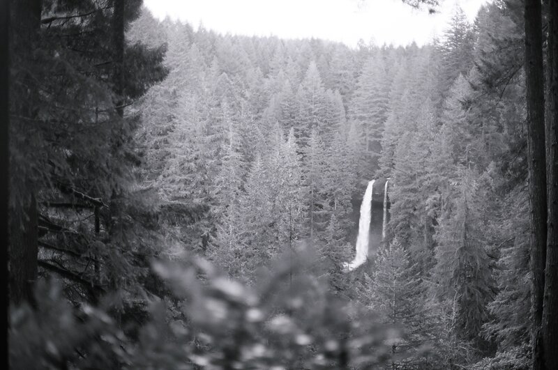 Waterfall in Forest — Black, Serene